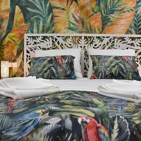 Nivaria Sunset * Puerto de la Cruz (Tenerife)