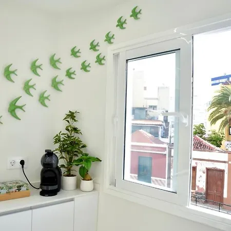 Nivaria Sunset Διαμέρισμα Πουέρτο Ντε Λα Κρουζ