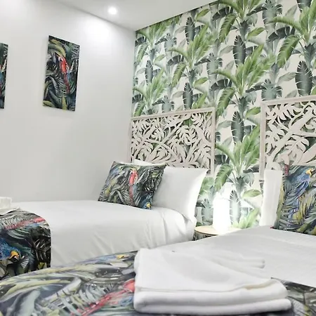 Nivaria Sunset 拉克鲁斯