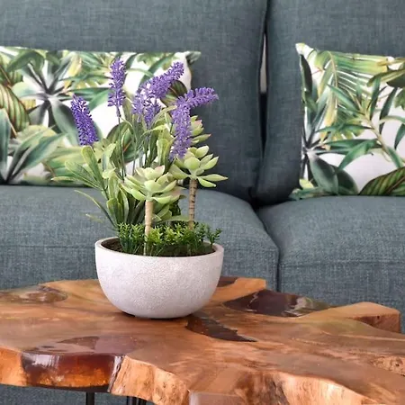 Nivaria Sunset Apartment *